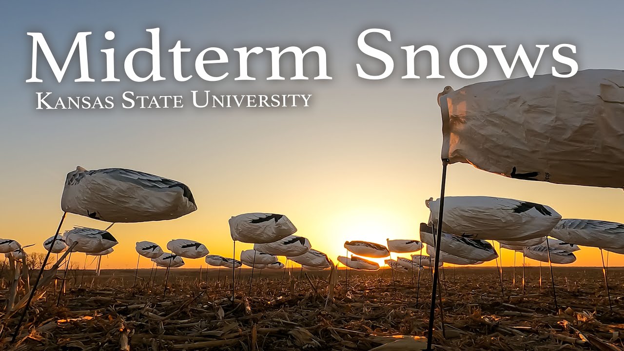 Taking on Spring Snow Goose Hunting – Midterm Snows