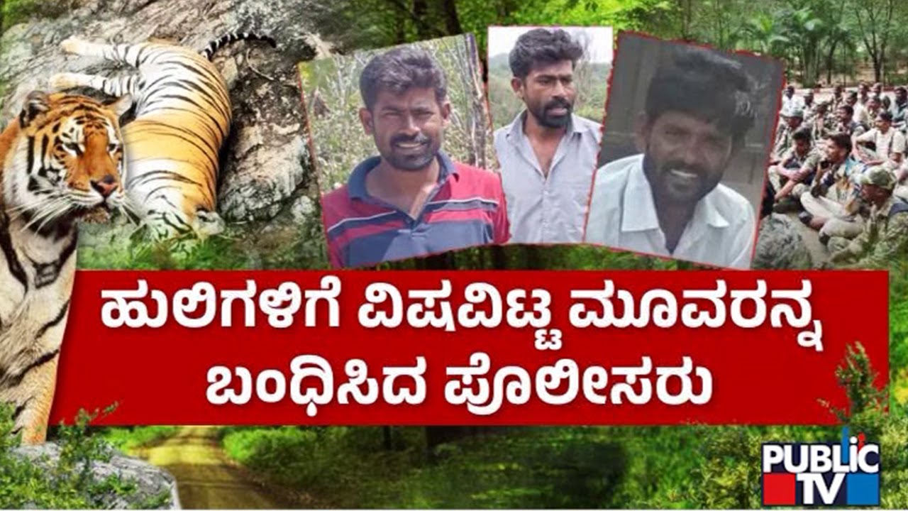 Forest Officers Arrest 3 People For Poisioning Tigers | Chamarajanagar | Public TV