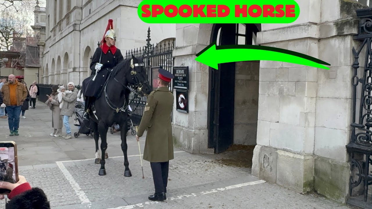 CRITICAL 🚨Protesters’ Noise Spooks Horse, Guard Acts Fast with Another Horse