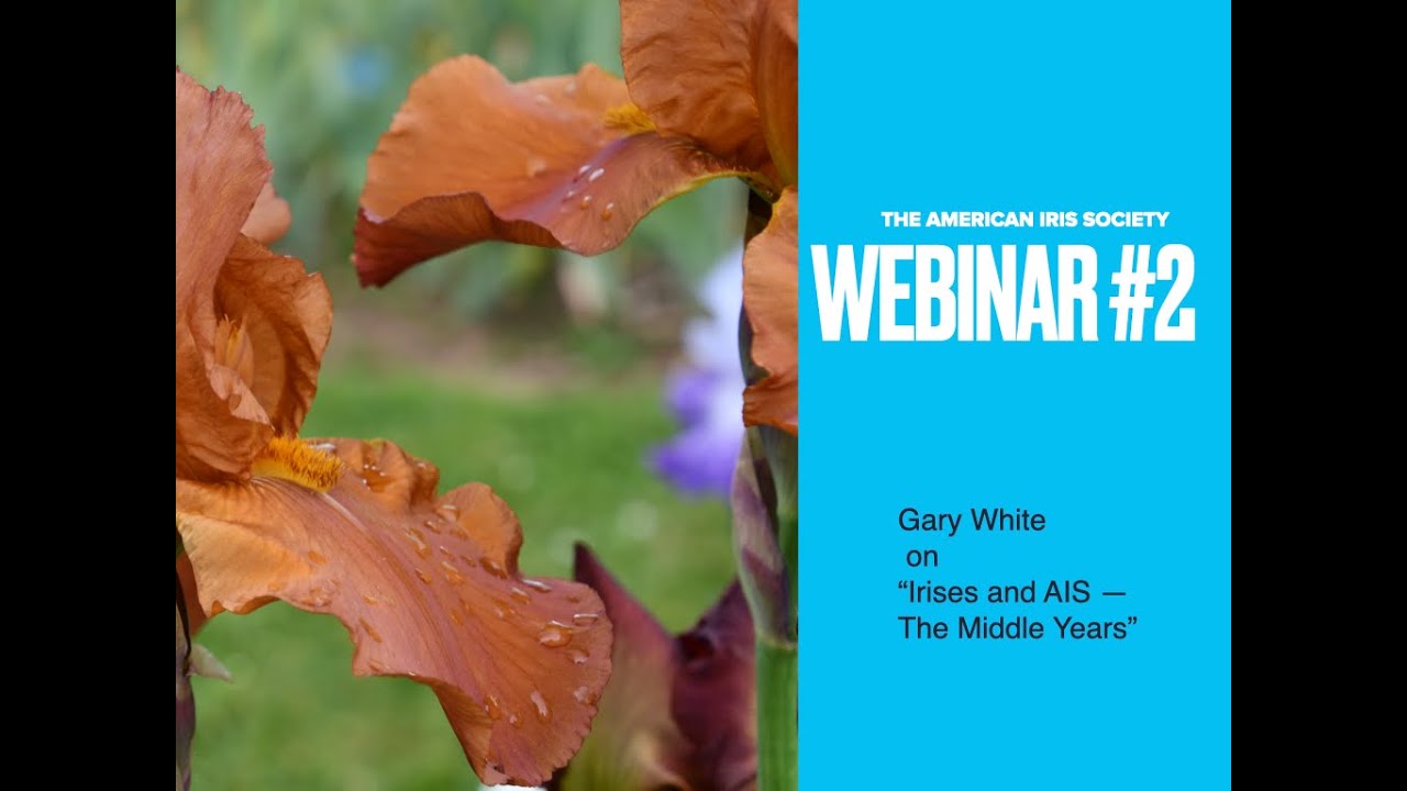 AIS Webinar #2: Gary White on 