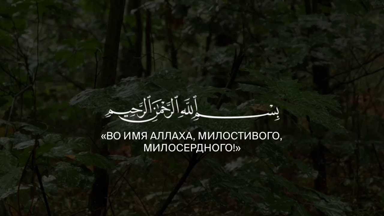 Мухаммад Шариф Эльджаркиев | сура «аль Фаджр»