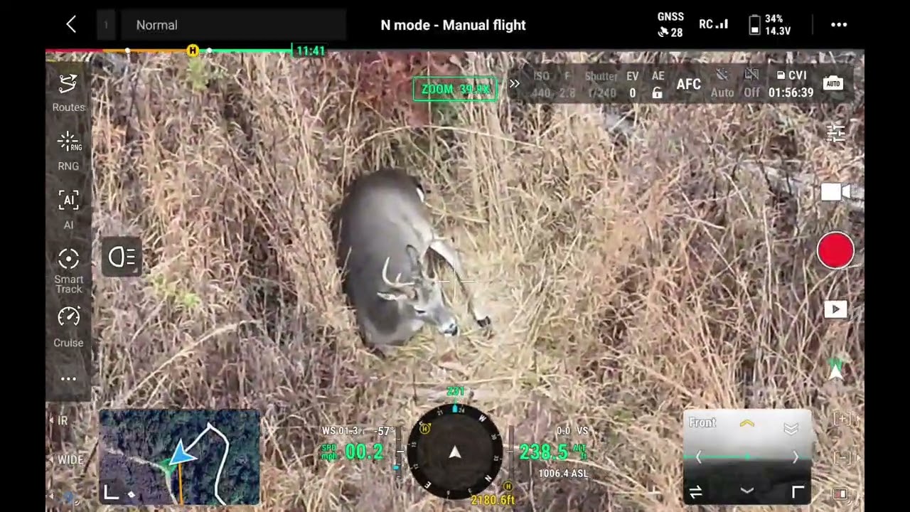 Deer Survey 11/19 DJI Matrice 4T Drone