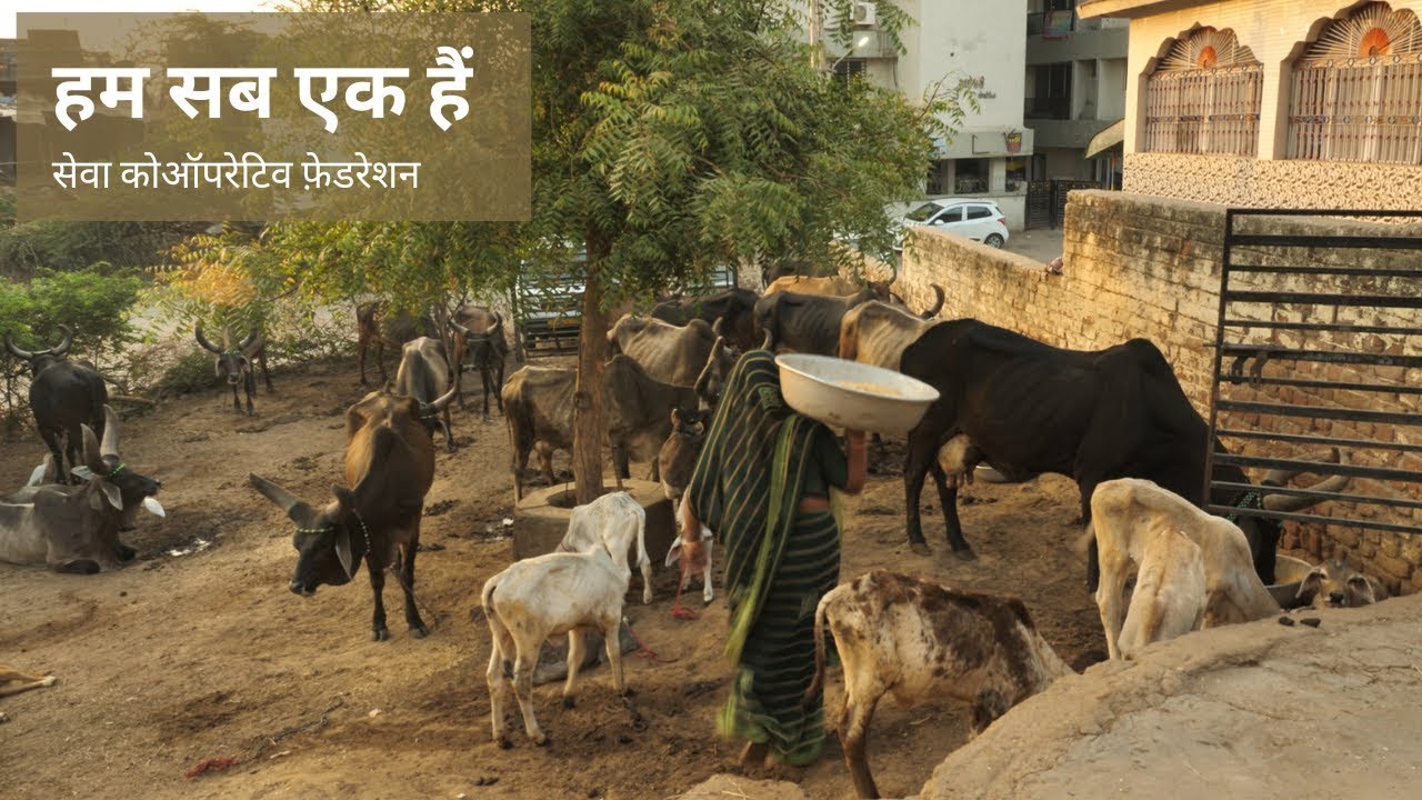 Hum Sab Ek Hain - Documentary Film On SEWA Cooperative Federation (Hindi Subtitles)