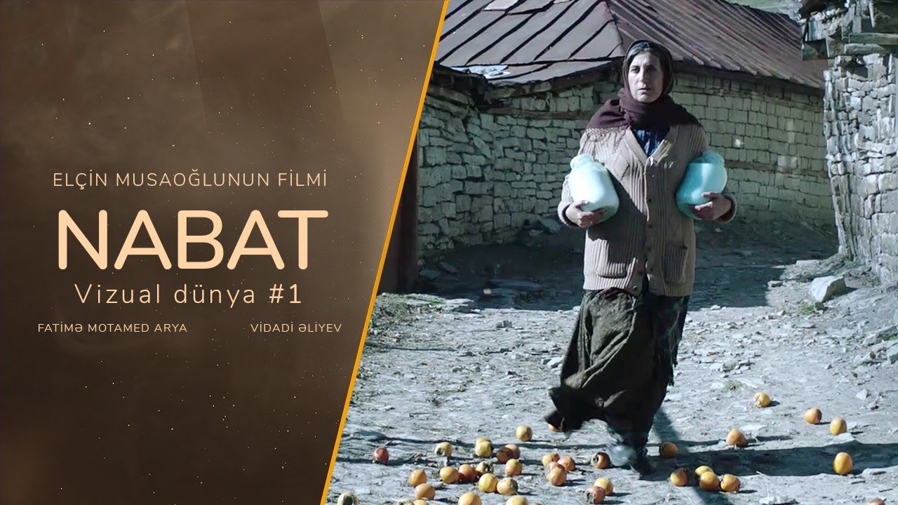 NABAT | Vizual Dünya #1