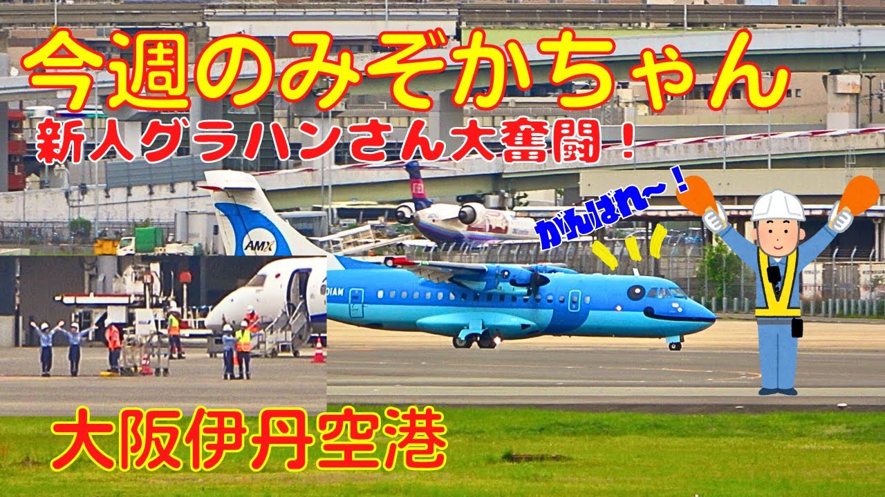 【大阪伊丹空港】今週のみぞかちゃん　2024.4.27　新人グラハンさん大奮闘！