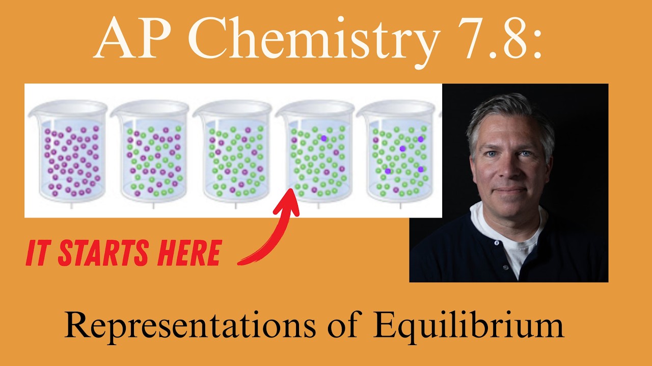 AP Chemistry 7.8: Представления равновесия