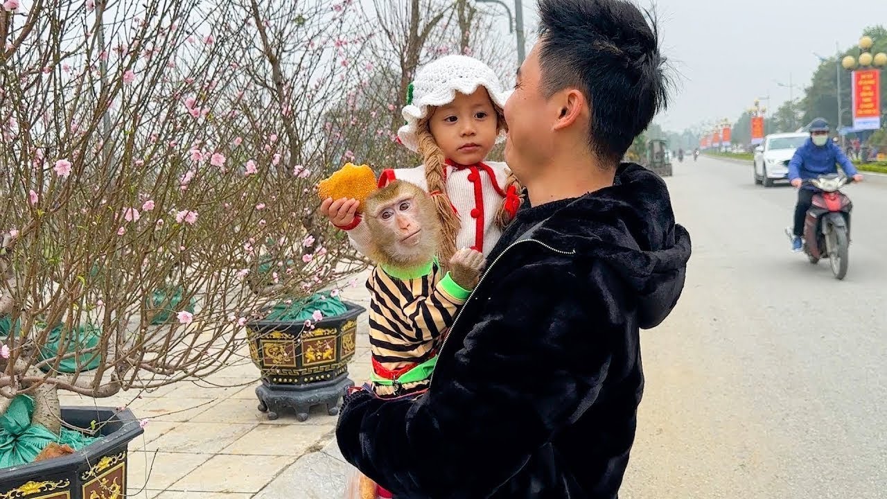 Dad took Monkey Kaka and Diem to see many beautiful flowers.