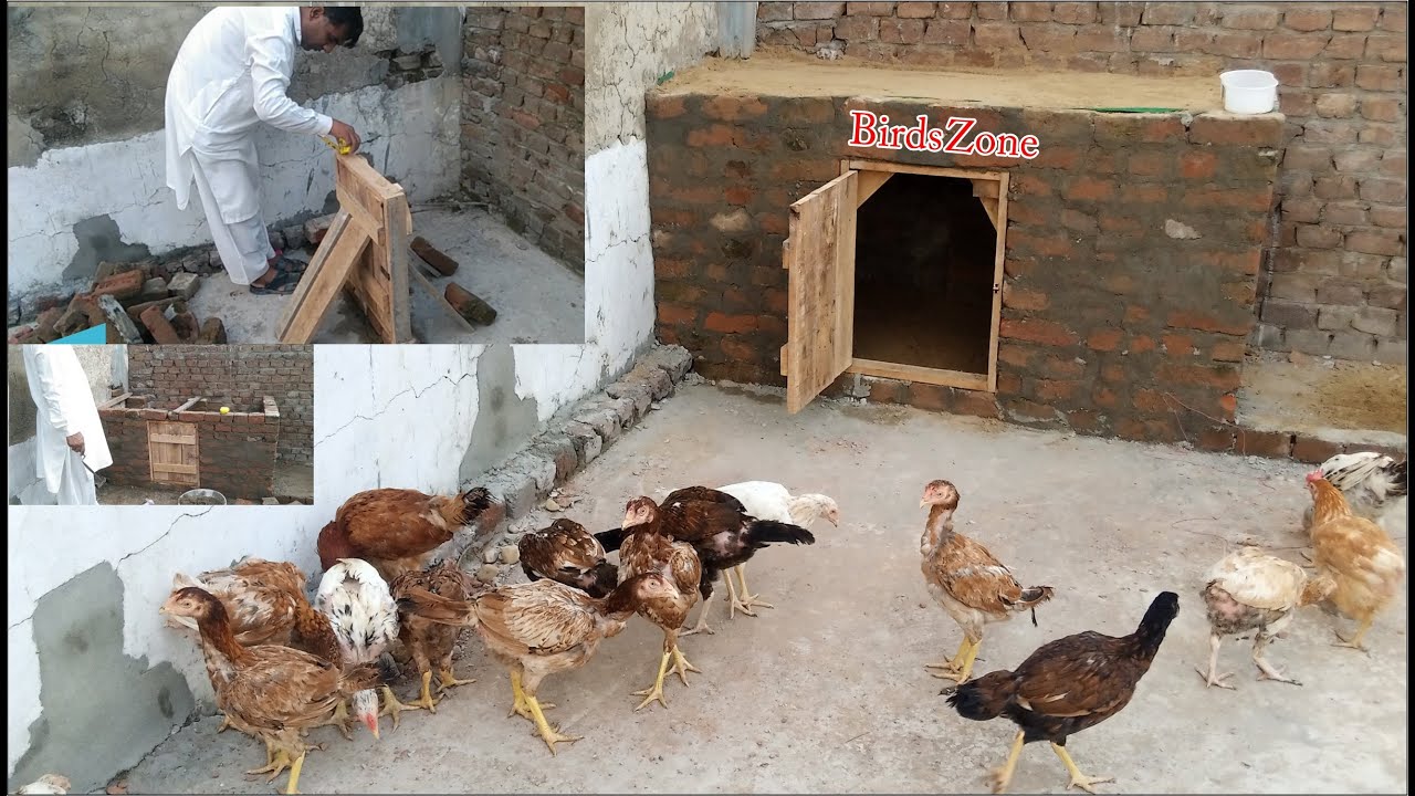 How to make a chicken house With bricks and cement | Amazing idea to make chicken cage | Cage Idea