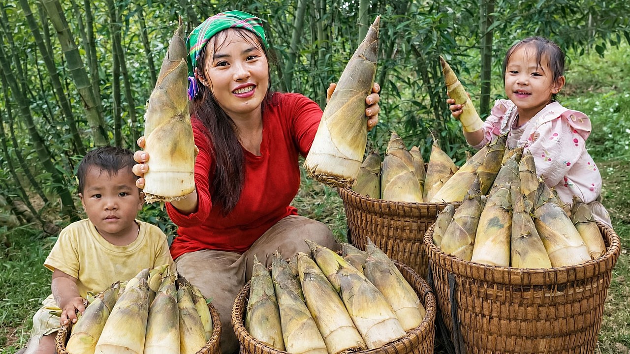 Harvesting Giant Wild Bamboo Shoots With My Children To Sell At The Market