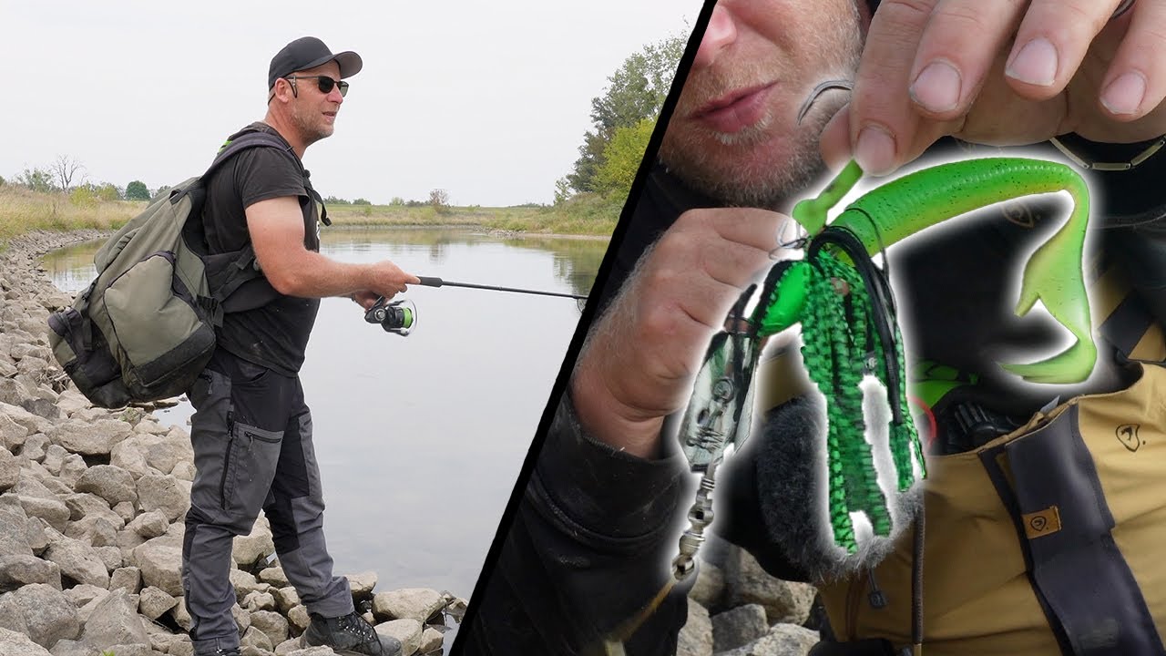 Mit CHATTERBAIT auf WELS | Vom UFER am FLUSS