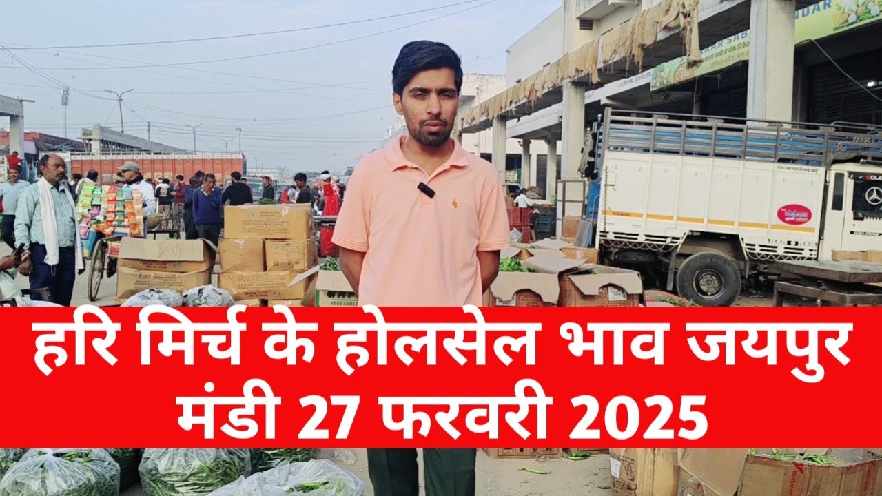 27 फरवरी 2026 हरि मिर्च का भाव | मिर्च के भाव जयपुर mandi / vegetable market Jaipur 