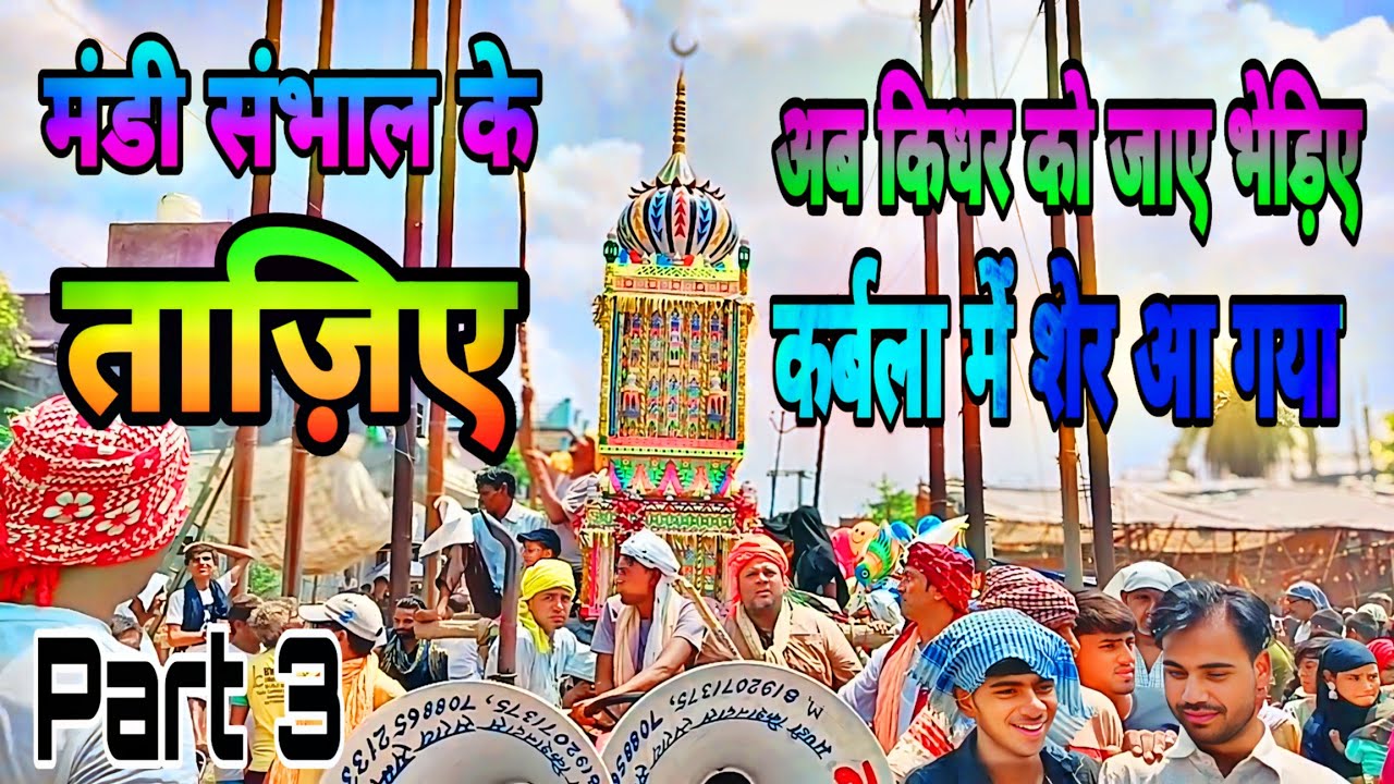 Mandi Sambhal Ke Taaziya अब किधर को जाए भेड़िए कर्बला में शेर आ गया अशरफी म्यूजिक सेंटर 17 July 2024