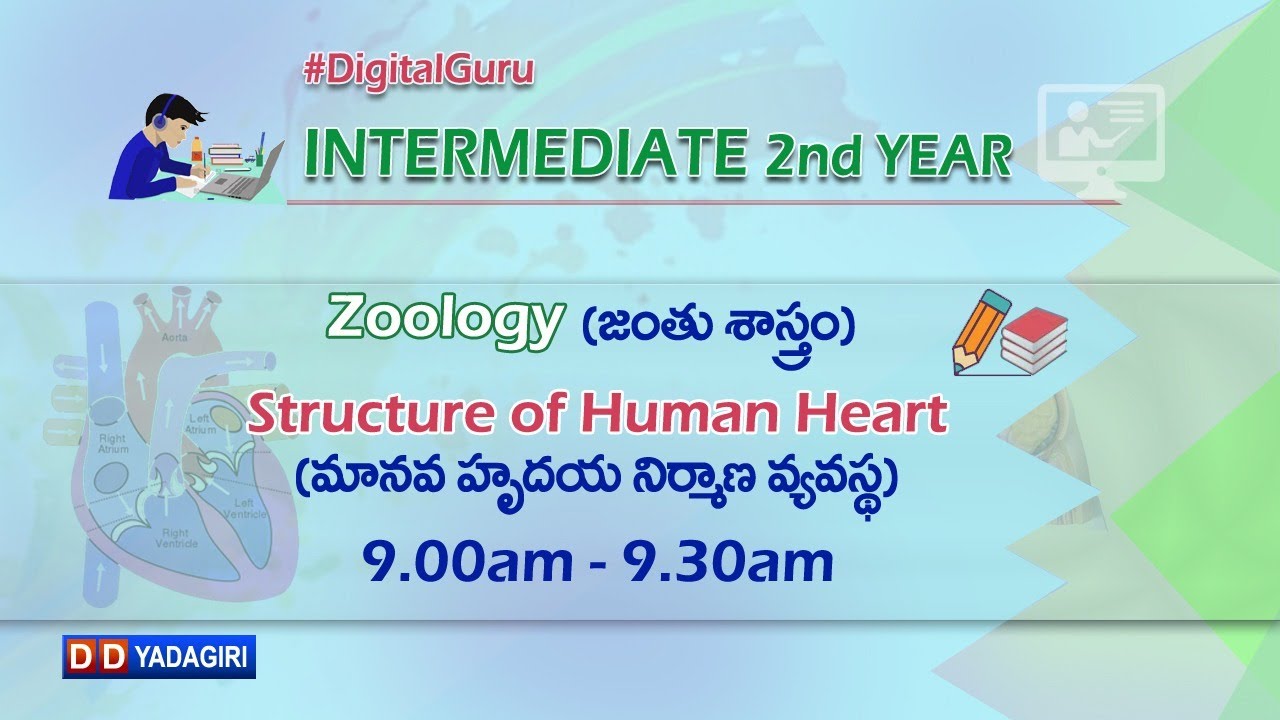 Zoology || Structure Of Human Heart (మానవ హృదయ నిర్మాణ వ్యవస్థ) || Intermediate  || Sept 7,  2020