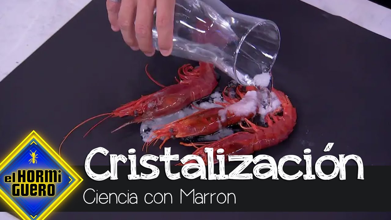 Así nos muestra el chef una de las cosas más alucinantes - El Hormiguero