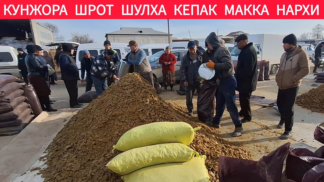 КУНЖОРА ШРОТ ШУЛХА КЕПАК МАККА БУГДОЙ ЯНГИ НАРХЛАРИ ХАЗОРАСП ЕМ ХАШАК БОЗОРИ 15-МАРТ 2026-ЙИЛ 