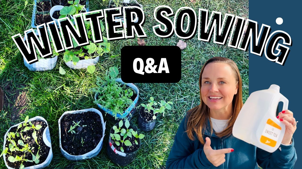 Подзимний посев 🌱🌸 ОТВЕТЫ на ваши вопросы о подзимнем посеве | ОБНОВЛЕНИЕ Подзимний посев 3 разны...