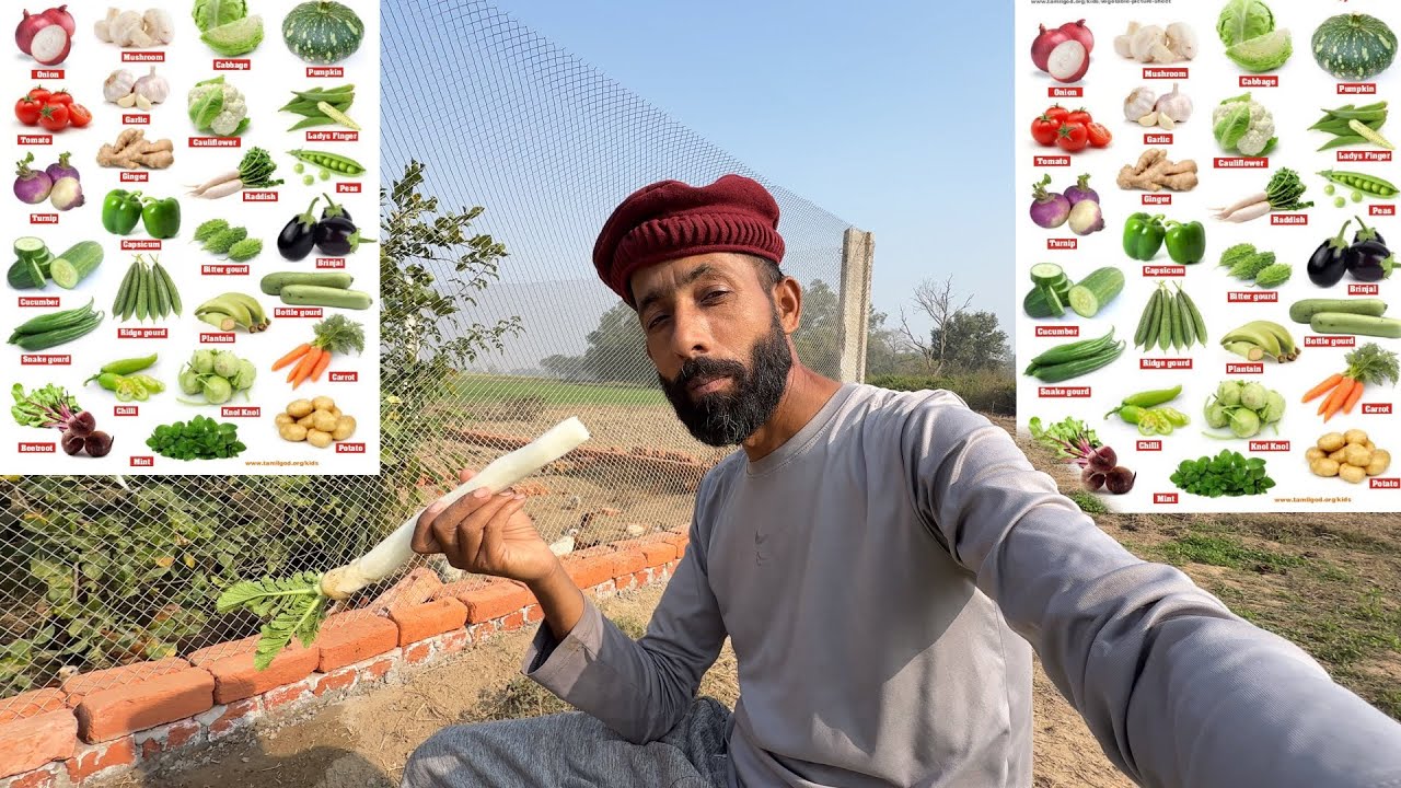 New Sabziyan New Business Allhamdulilah 🤲🏻🤲🏻