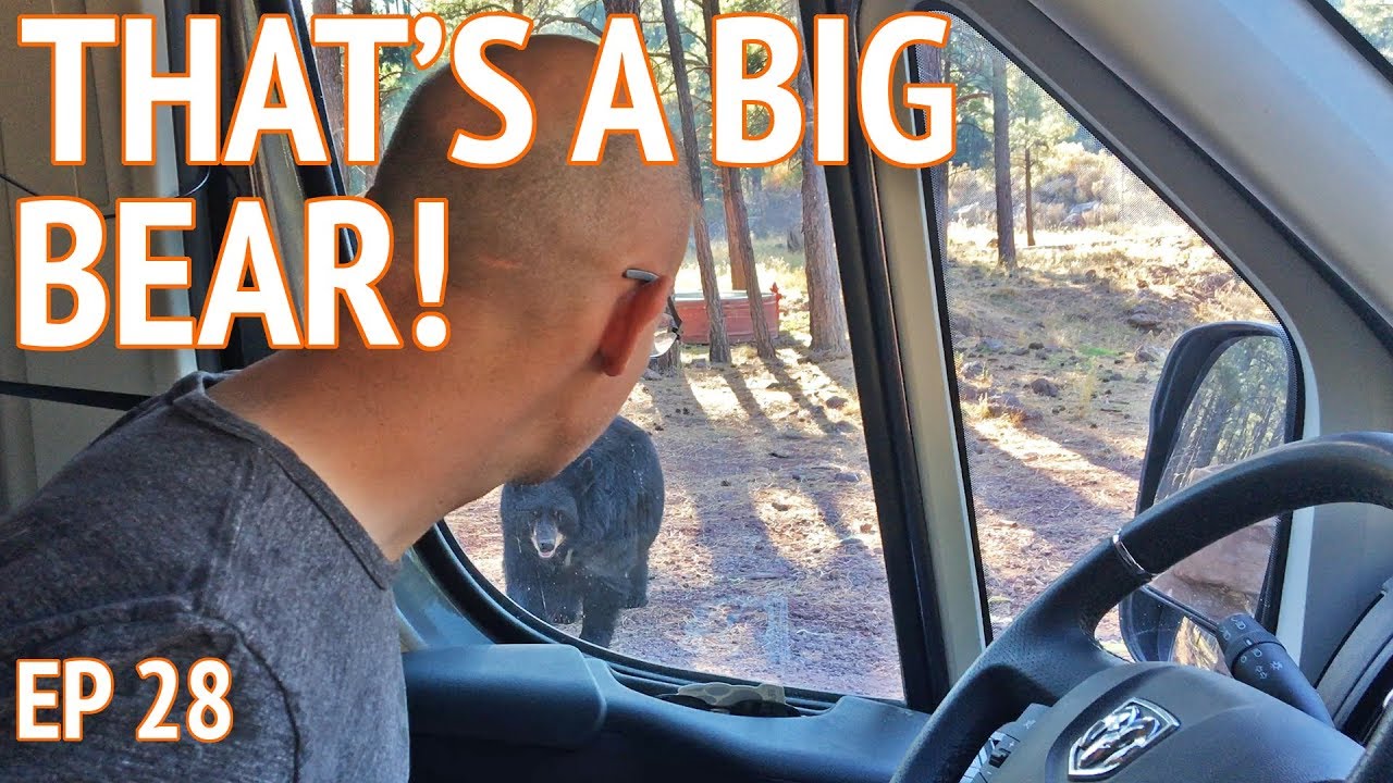 Bearizona Wildlife Park Driving Tour | Camper Van Life S1:E28