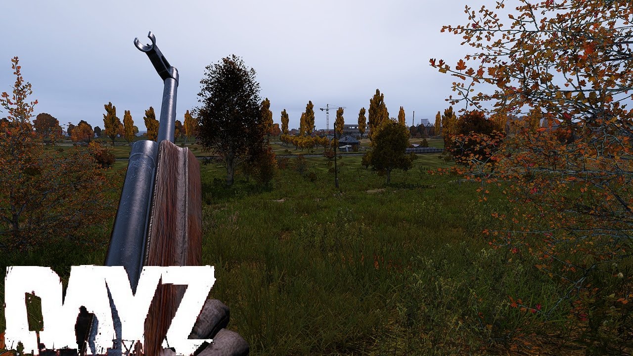 Can We SURVIVE DayZ when there is Players jumping out off no where?