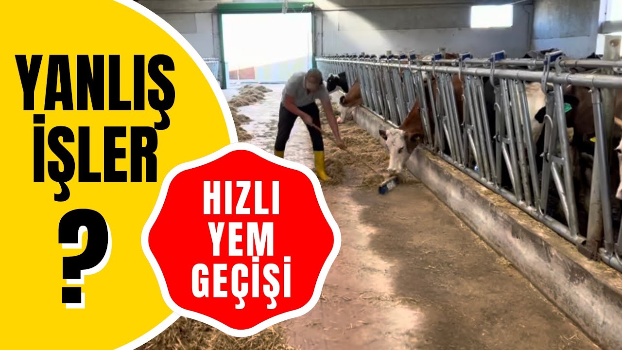 YANLIŞ İŞLER HIZLI YEM GEÇİŞİ