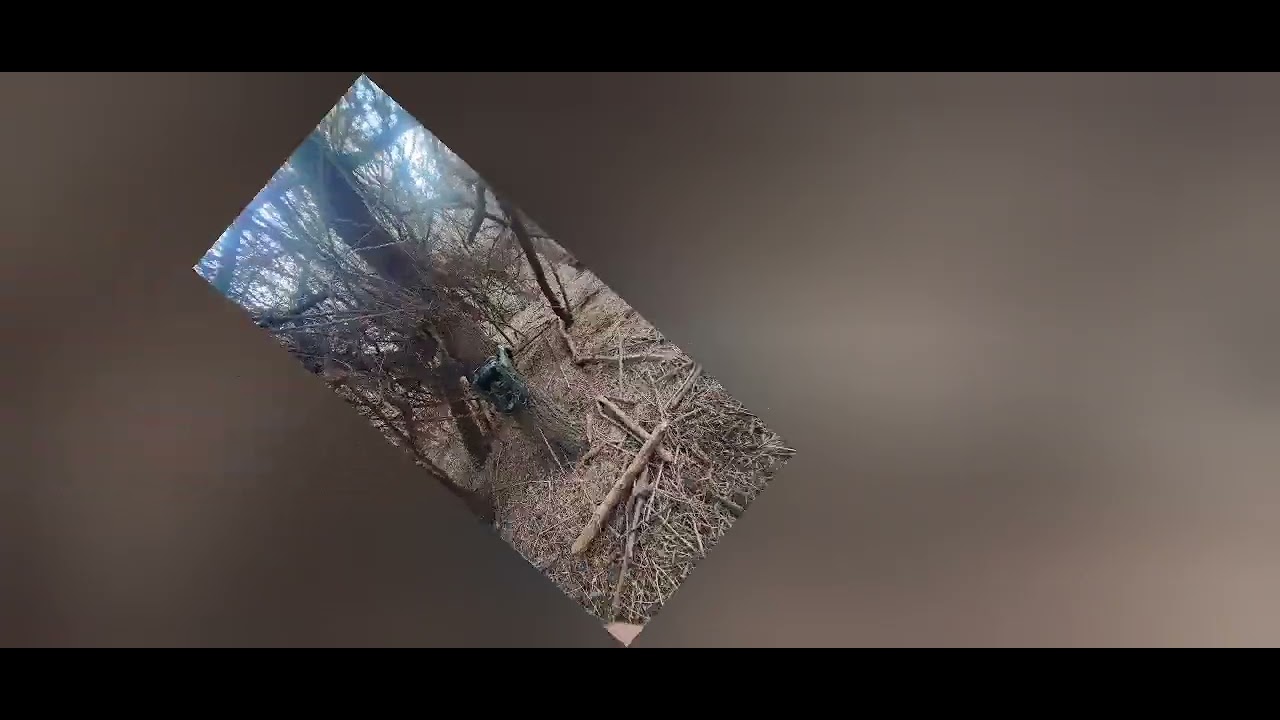 بداية 2026 بكاميرات فخ جديدة في قلب الطبيعة / Starting 2026 with New Camera Traps in the Wild