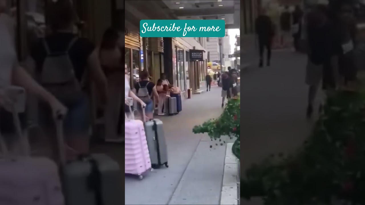 bushman prank #47473 #funny #prankster #Bushman #prank #shorts