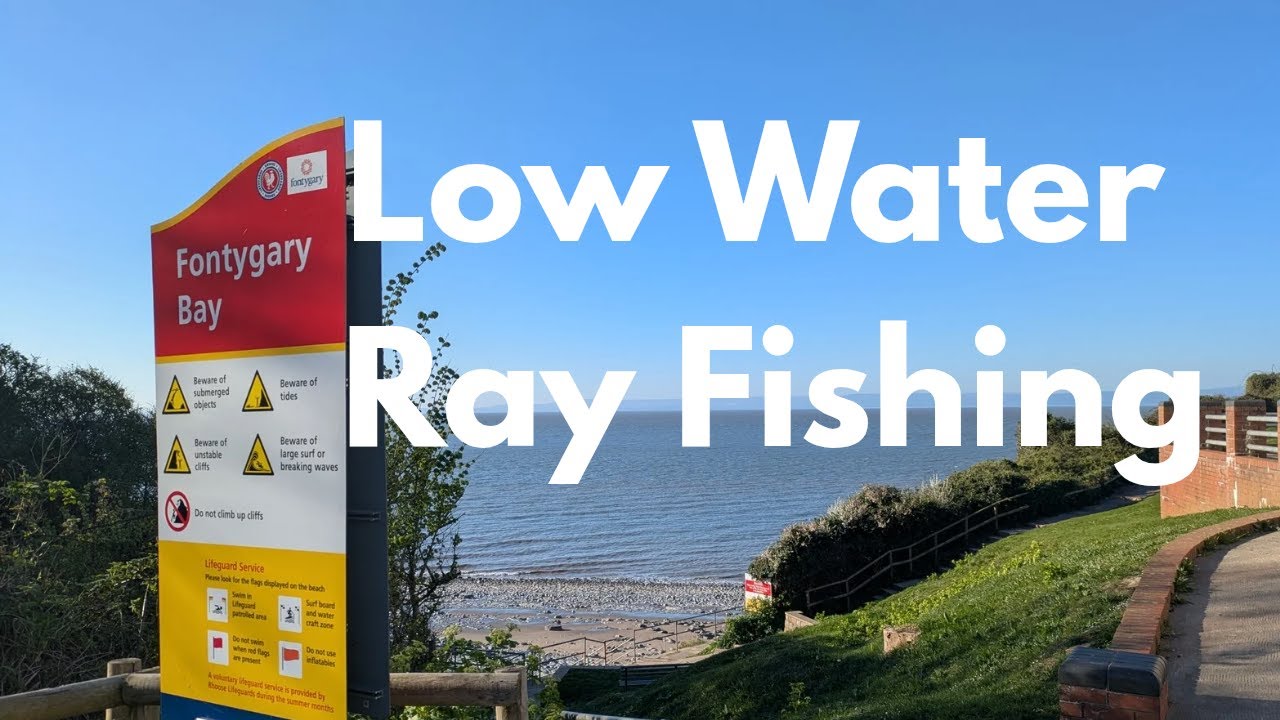 Low Water Ray Fishing At FontyGary