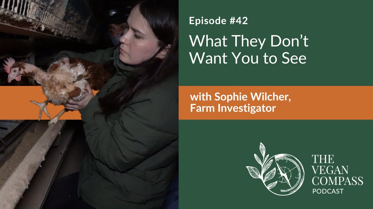 Ep 42 - What They Don’t Want You to See | Sophie Wilcher | Farm Investigator