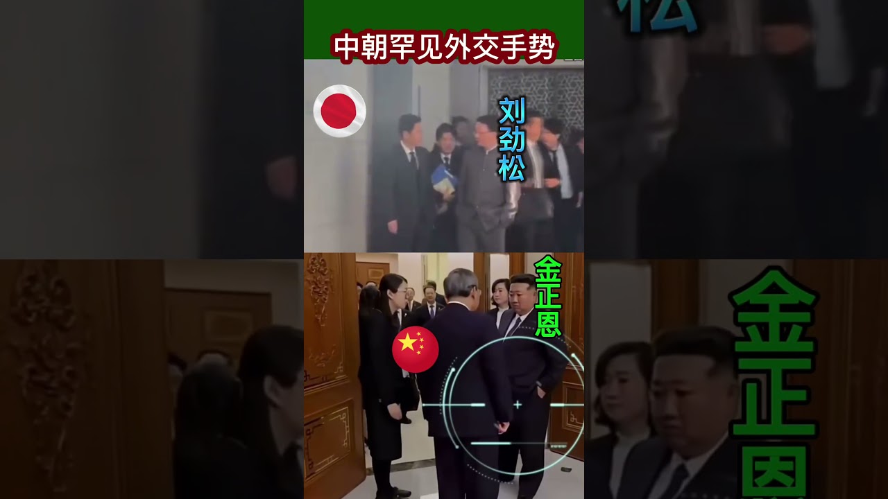 中朝罕见外交手势 #2025 #金正恩 #刘劲松
