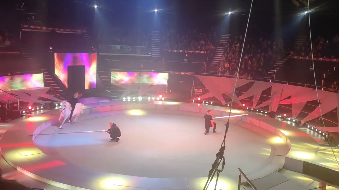 Circul Metropolitan București 