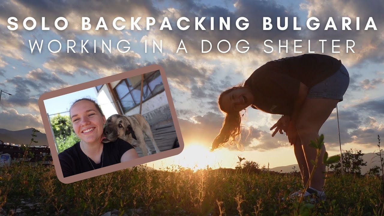 Solo backpacking Bulgaria - Europe | Working in a dog shelter! | Workaway in Bansko |