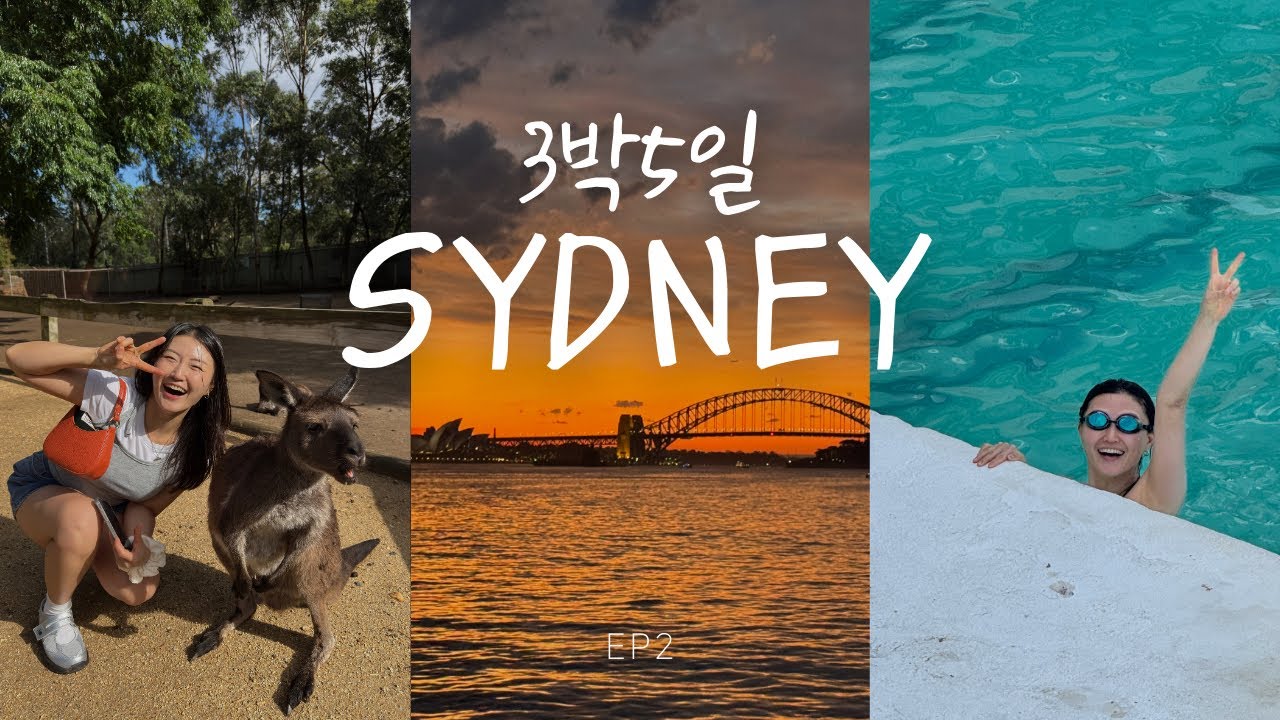 🇦🇺[3박5일 시드니 Ep2] 🦘캥거루랑 코알라 만나고(감동)🐨️♥️ 총격테러를 곁들인 아이스버그에서 수영하기 🌊/페더데일•브런치맛집•코스탈워크•본다이아이스버그•왓슨스베이•오페라바