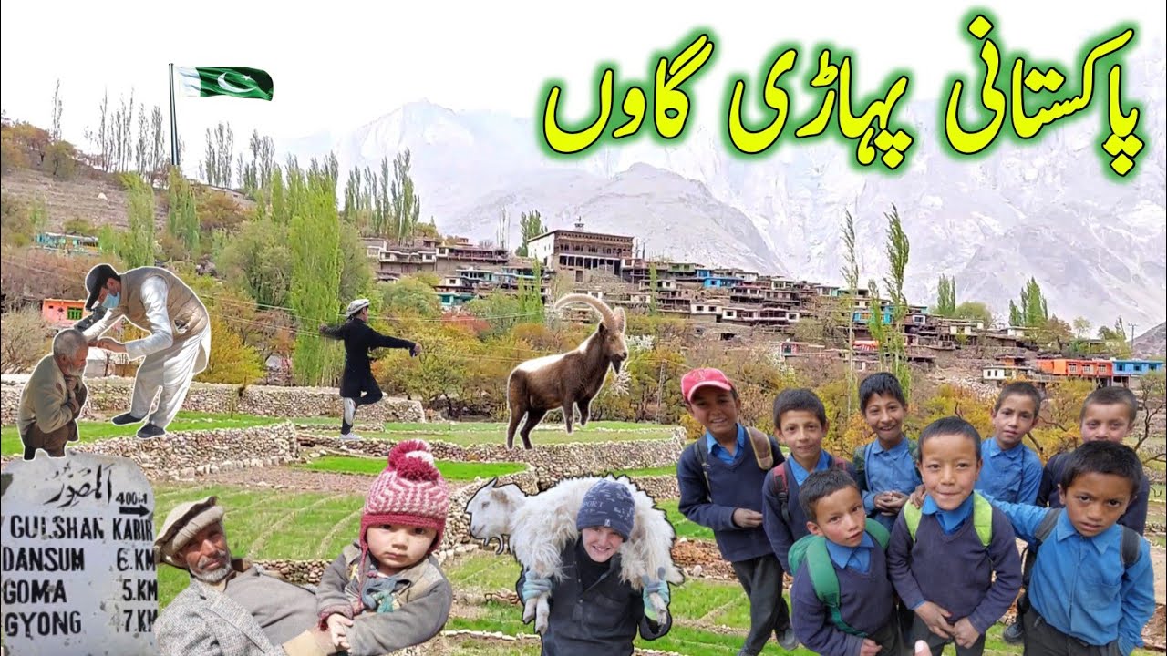 Amezing Village Life In Gilgit Baltistan | Peaceful and Natural Views Of My Village| Domsum Valley