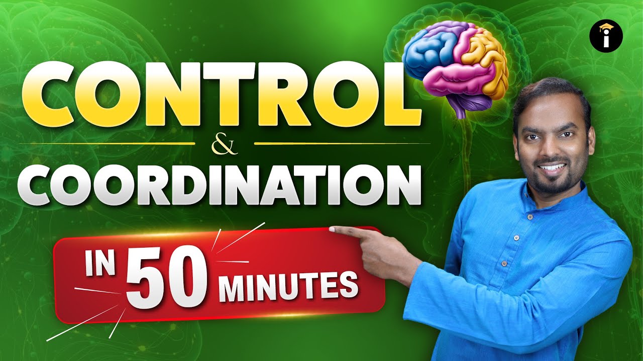 ⚡ Control & Coordination – The Fastest 50-Minute Guide!