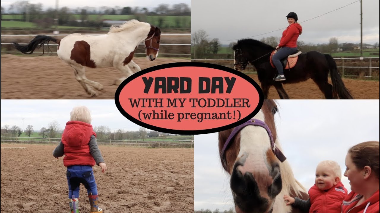 Random Murphy Vlog ♡