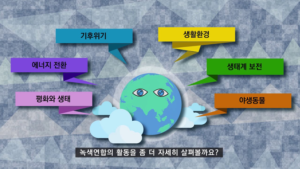 녹색연합은 어떤 곳인가요? - 녹색연합 활동을 소개합니다.