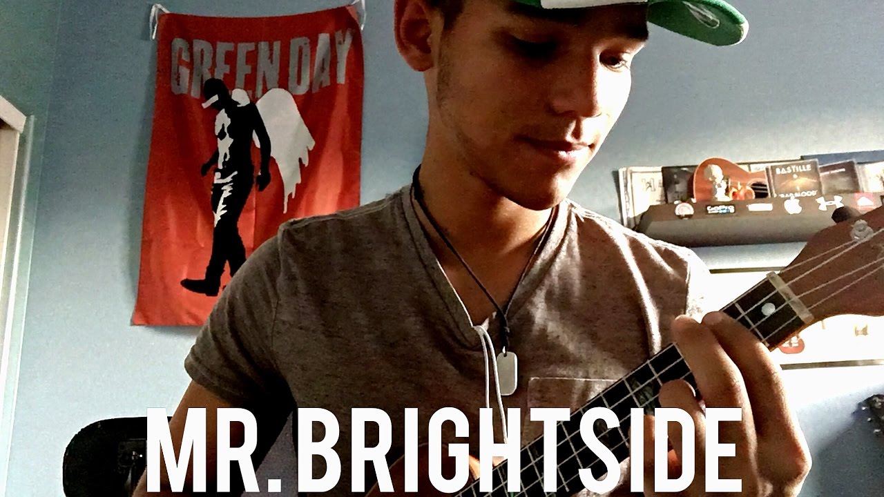 Mr. Brightside--the Killers (ukulele cover)
