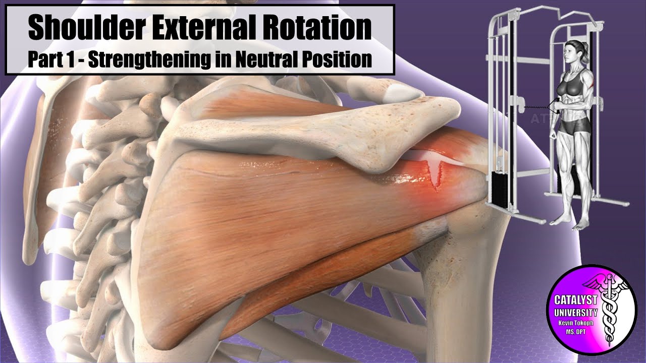 Shoulder External Rotators [Part 1/2 - @ Neutral] | Strengthening Best Practices