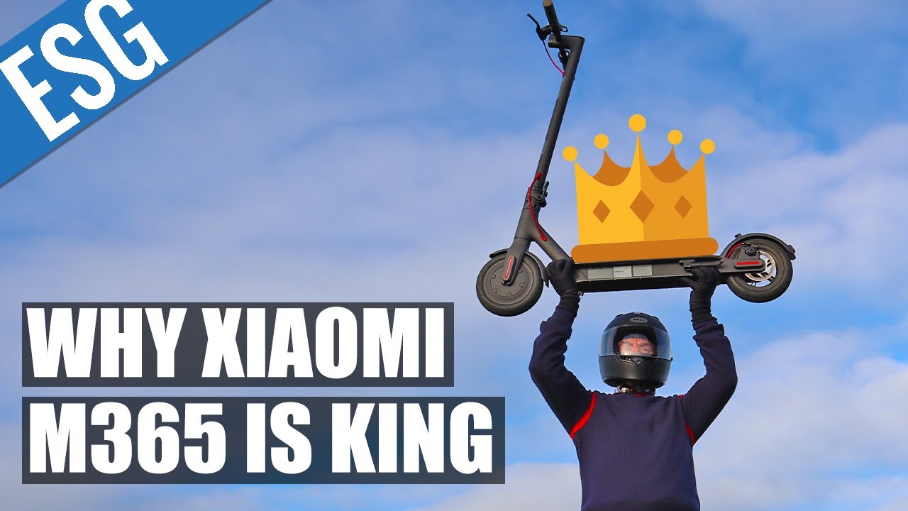 Why the Xiaomi M365 is the Most Popular Scooter in the World | Xiaomi Mi M365 Review
