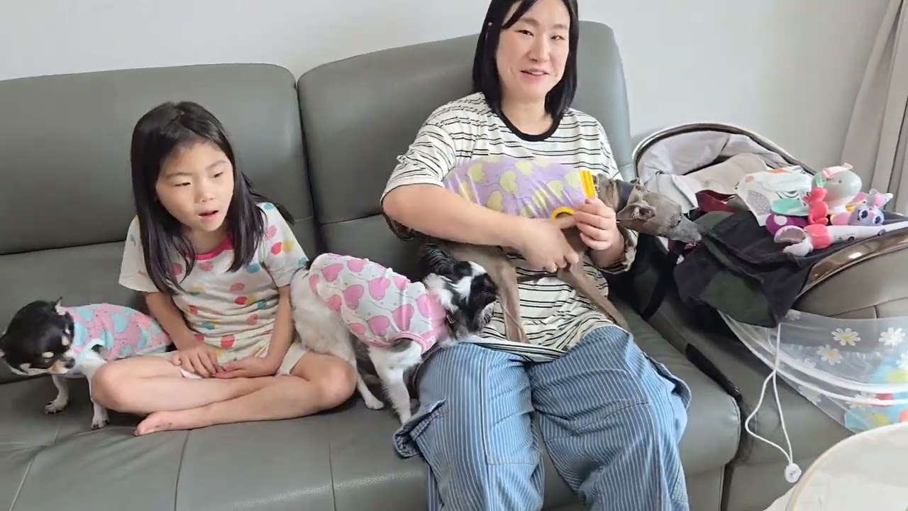 비니리니 강아지들이랑 애견펜션 다녀왔어요 1 🐶