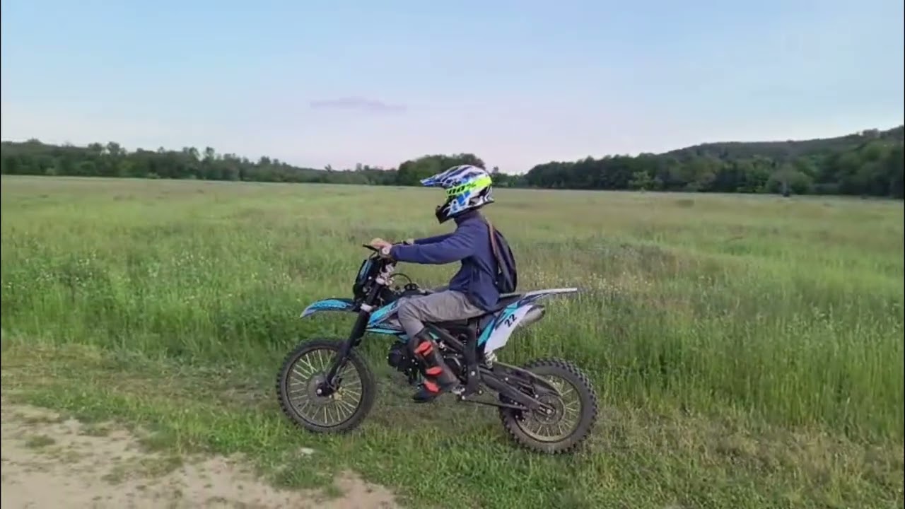 Forest intro
