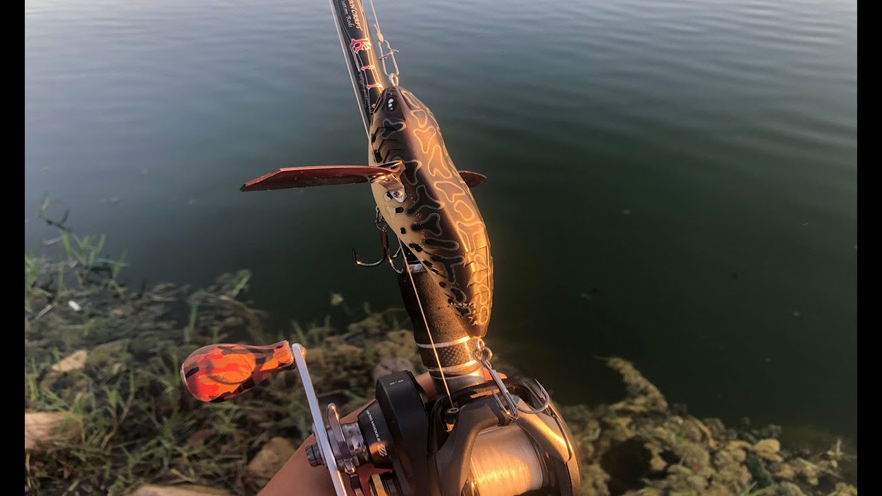 BLACK BASS IN NOTTURNA, catture TOPWATER