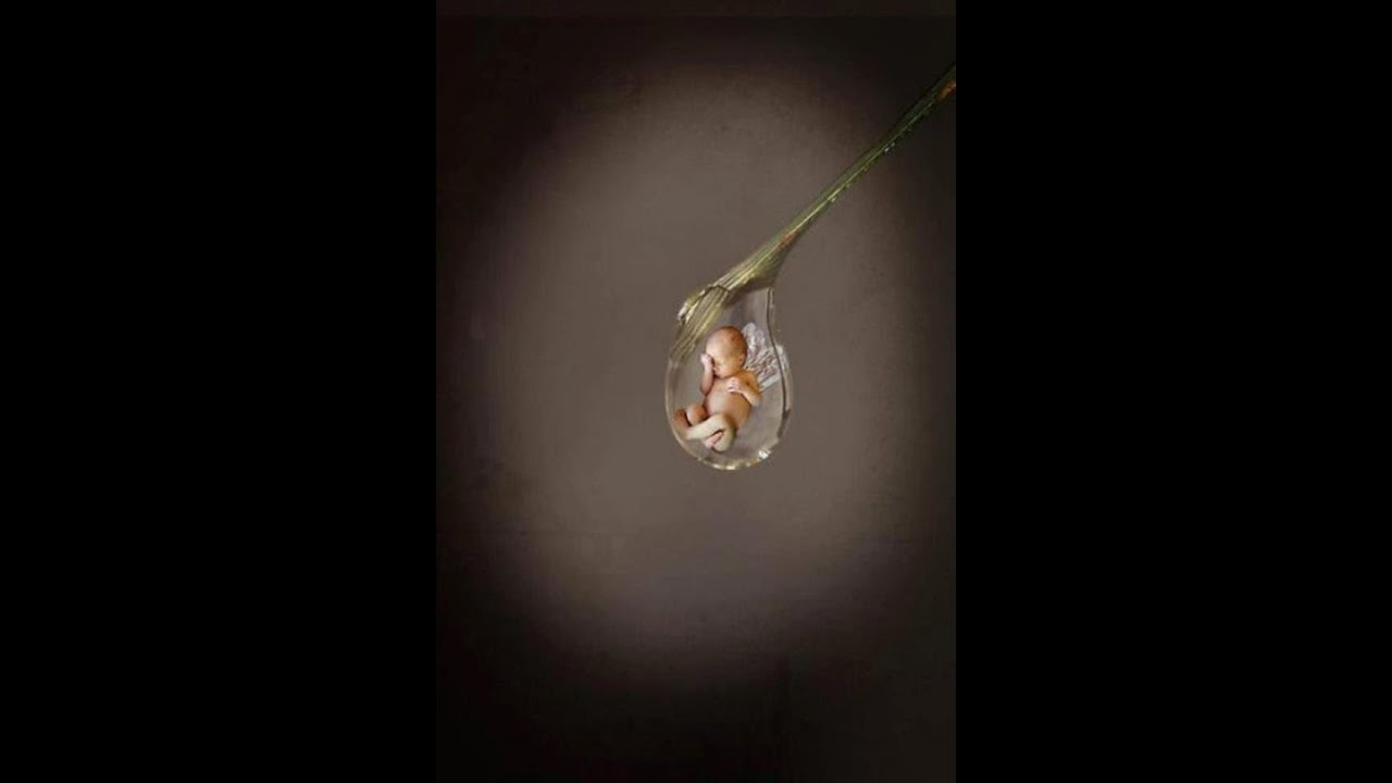 مثقال  ذرة