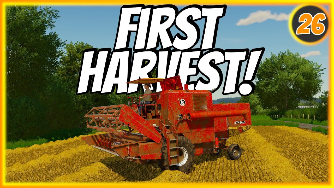 HARVESTING Our Own Field For The FIRST Time!  | FS22 Survival | Court Farm Ep 26