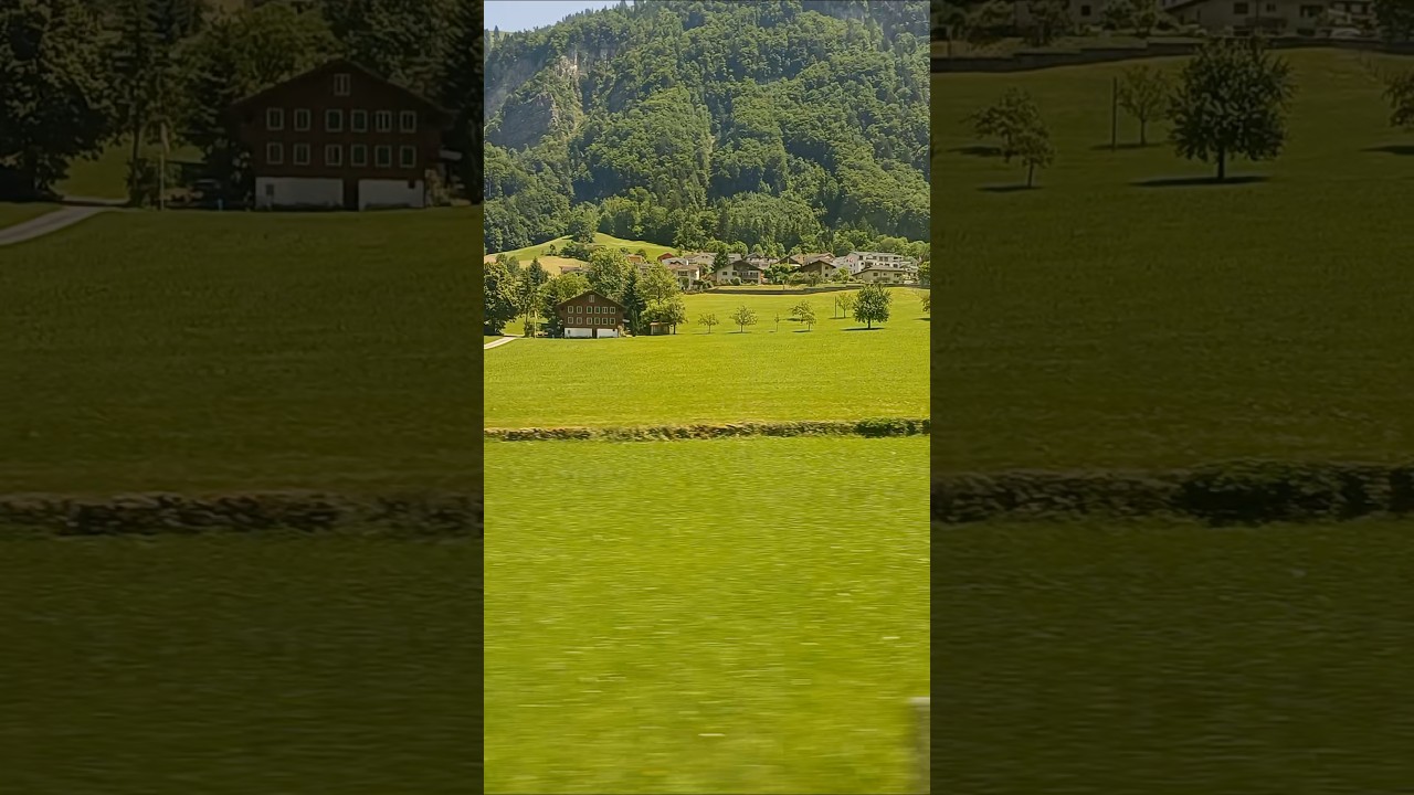 Swiss nature 🌲every step is a postcard❣️