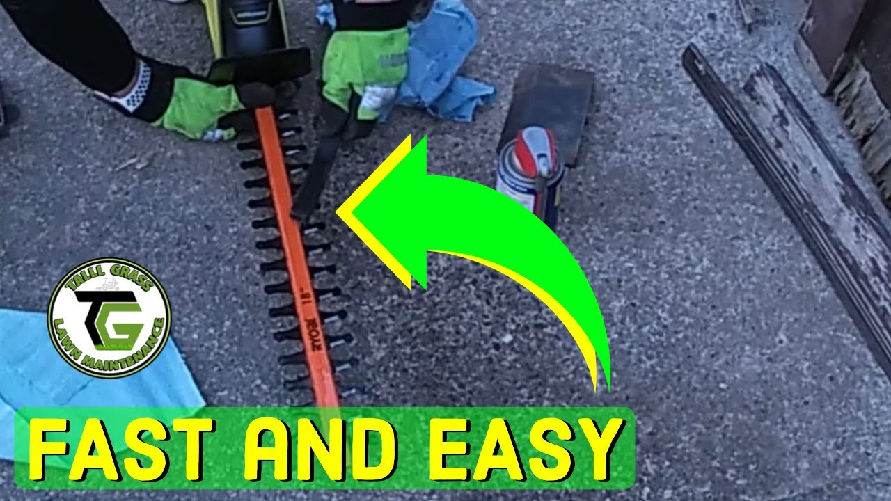 How to Sharpen and Clean Hedge Trimmer Blades(FAST and EASY)