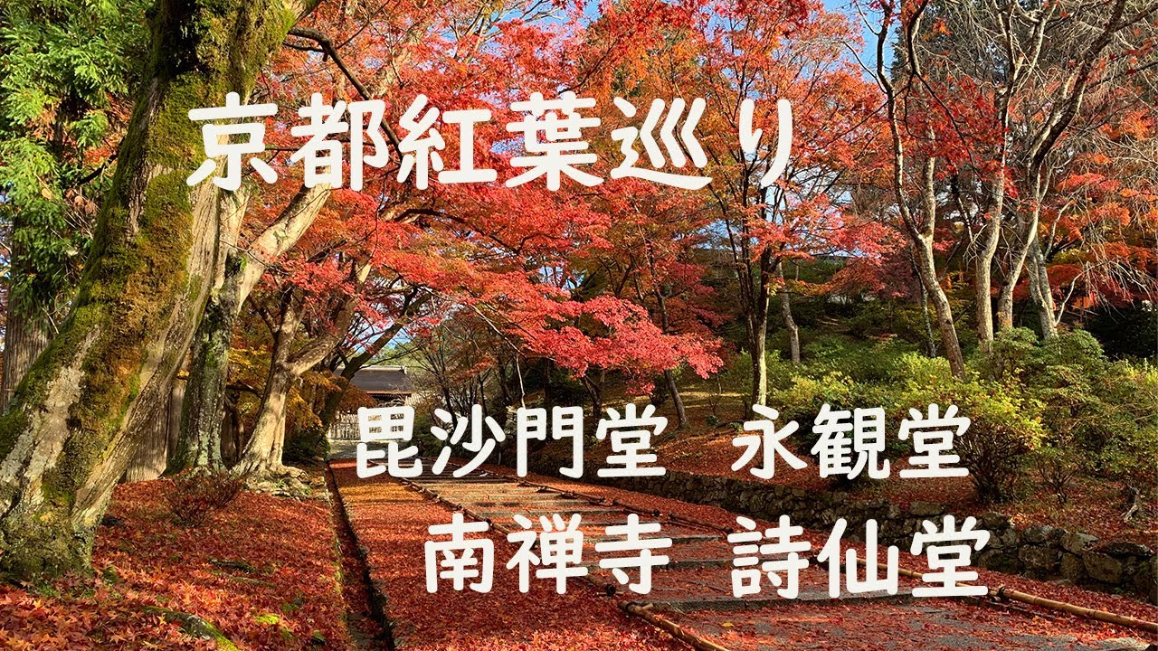 秋の京都紅葉旅　～山科から一乗寺～   毘沙門堂・南禅寺・永観堂・詩仙堂　＃京都　＃ラン旅