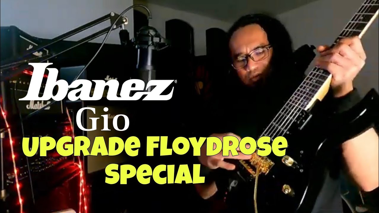 Ibanez Gio Upgrade Floydrose Special FRTS1000 + Refret Stainless Steel