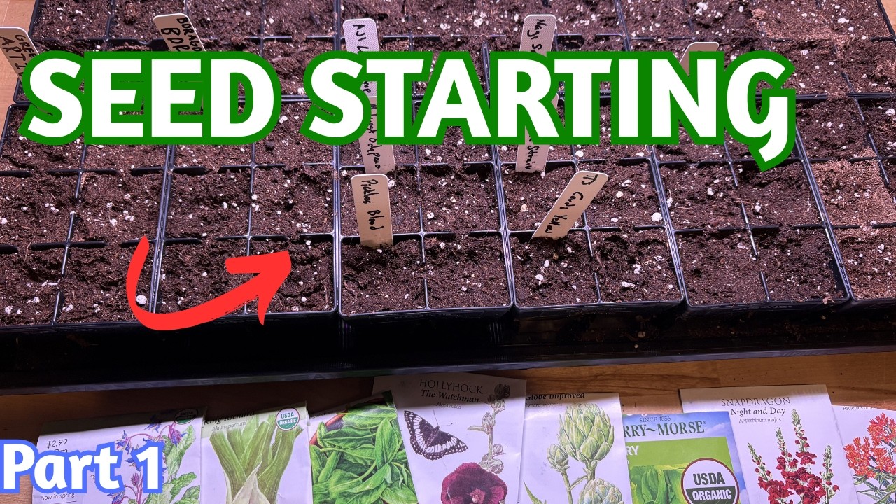 The Beginning Of The 2026 Garden PART 1  🌱☀️