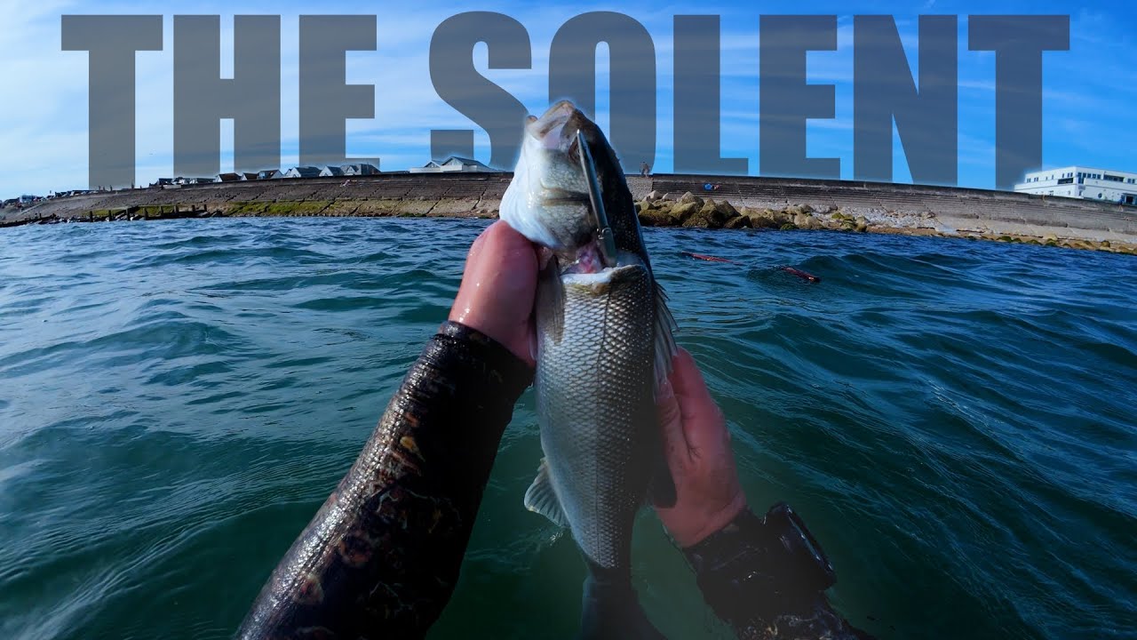Spearfishing for Bass in The Solent! Finding Fish in less than 3m!